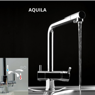 Alveus Aquila